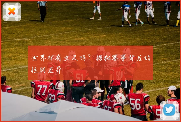世界杯有女足吗？揭秘赛事背后的性别差异