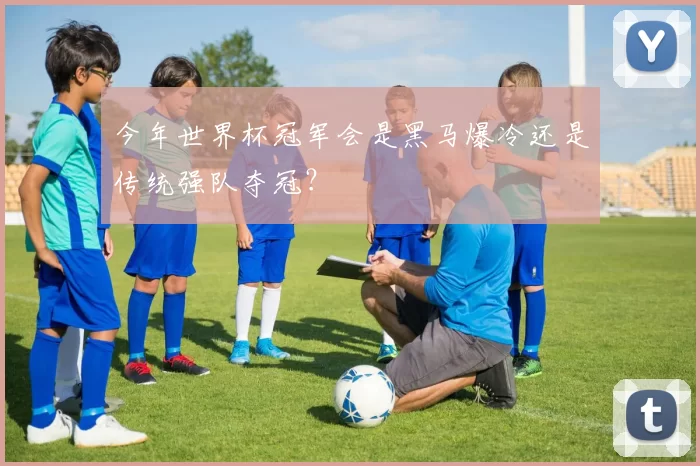 今年世界杯冠军会是黑马爆冷还是传统强队夺冠？