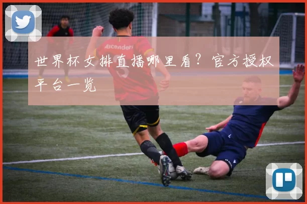 世界杯女排直播哪里看？官方授权平台一览