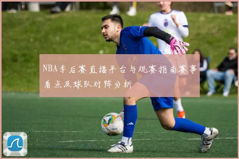 NBA季后赛直播平台与观赛指南赛事看点及球队对阵分析