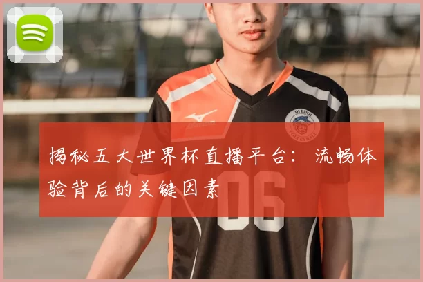 揭秘五大世界杯直播平台：流畅体验背后的关键因素