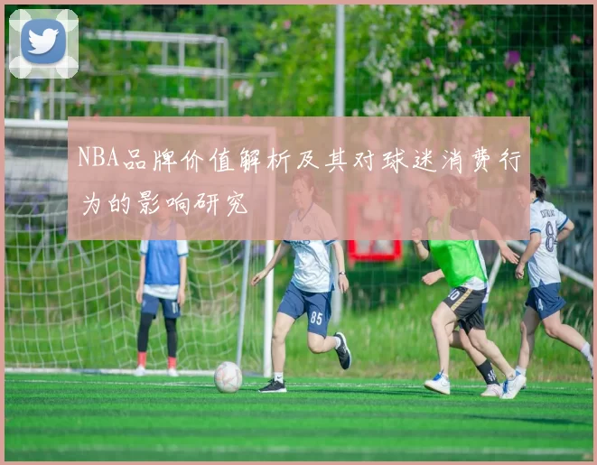 NBA品牌价值解析及其对球迷消费行为的影响研究
