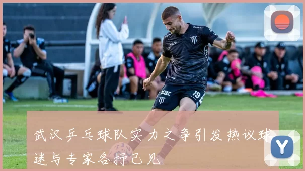 武汉乒乓球队实力之争引发热议球迷与专家各抒己见