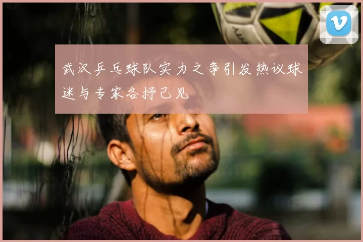 武汉乒乓球队实力之争引发热议球迷与专家各抒己见
