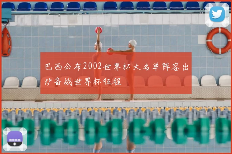 巴西公布2002世界杯大名单阵容出炉备战世界杯征程