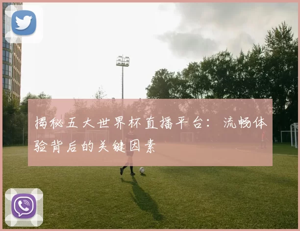 揭秘五大世界杯直播平台：流畅体验背后的关键因素