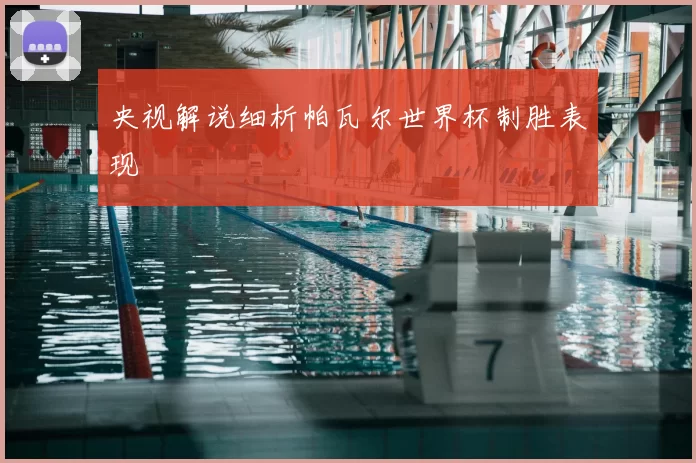 央视解说细析帕瓦尔世界杯制胜表现