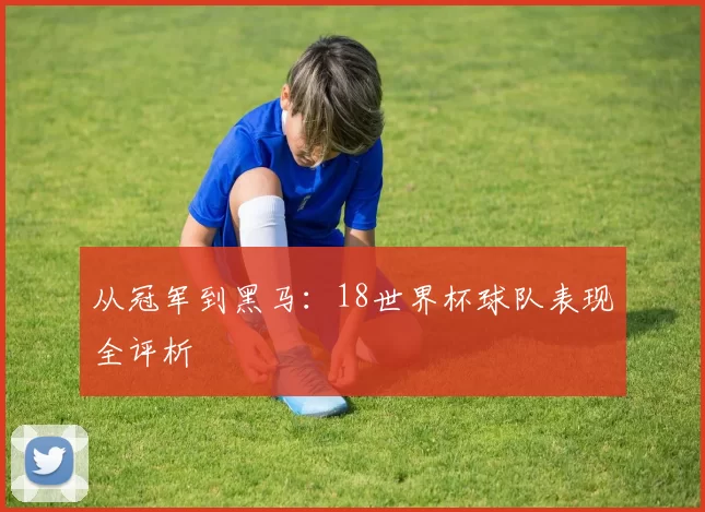 从冠军到黑马：18世界杯球队表现全评析