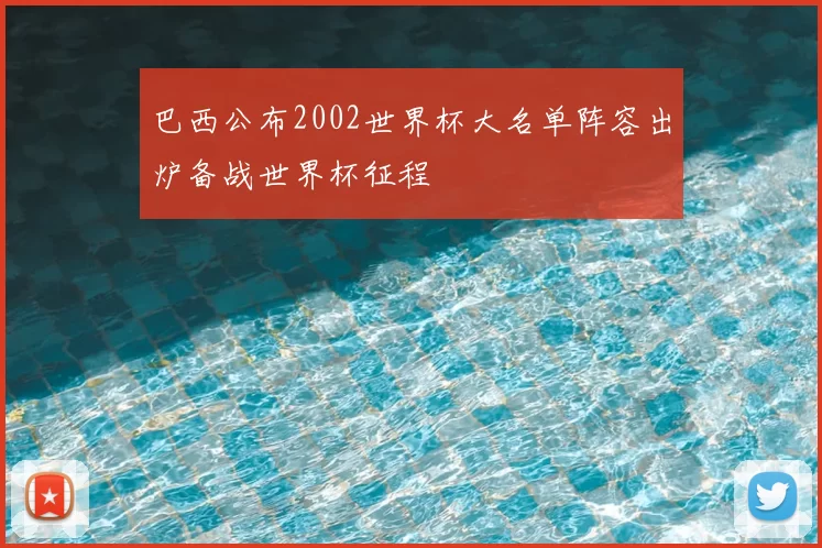 巴西公布2002世界杯大名单阵容出炉备战世界杯征程