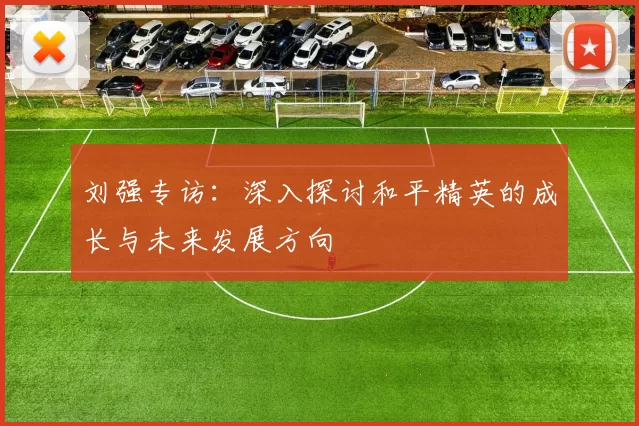 刘强专访：深入探讨和平精英的成长与未来发展方向
